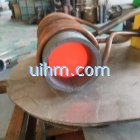 parallel helix induction coil (1)