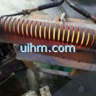 parallel helix induction coil (2)